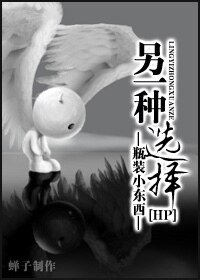 (HP同人)另一种选择